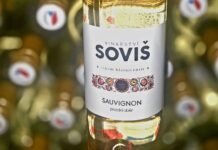 SLOVÁCKO ovládl Sauvignon z Blatnice. Národní soutěž vín 2026 pokračovala prvním hodnocením na Moravě