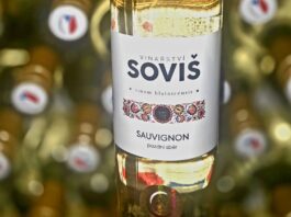 SLOVÁCKO ovládl Sauvignon z Blatnice. Národní soutěž vín 2026 pokračovala prvním hodnocením na Moravě
