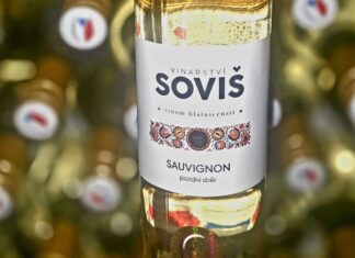 SLOVÁCKO ovládl Sauvignon z Blatnice. Národní soutěž vín 2026 pokračovala prvním hodnocením na Moravě