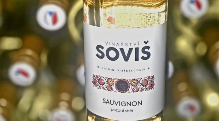 SLOVÁCKO ovládl Sauvignon z Blatnice. Národní soutěž vín 2026 pokračovala prvním hodnocením na Moravě