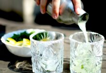 Spritz, bazalka, yuzu i olivy… PĚT DRINKŮ LÉTA v souhře klasiky a moderny