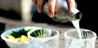 Spritz, bazalka, yuzu i olivy… PĚT DRINKŮ LÉTA v souhře klasiky a moderny