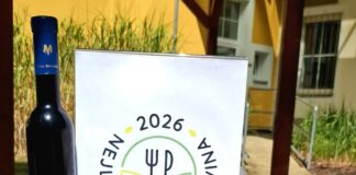 VÍTĚZNÉ MICROGREENS JAKO BIOPOTRAVINA ROKU. Bio už není jen móda. A chutná skvěle Biopotraviny které zvítěili v soutěži Nejlepší biopotravina 2026