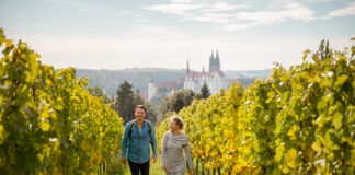 Podzimní vinařský trojúhelník: Drážďany, Radebeul a Míšeň